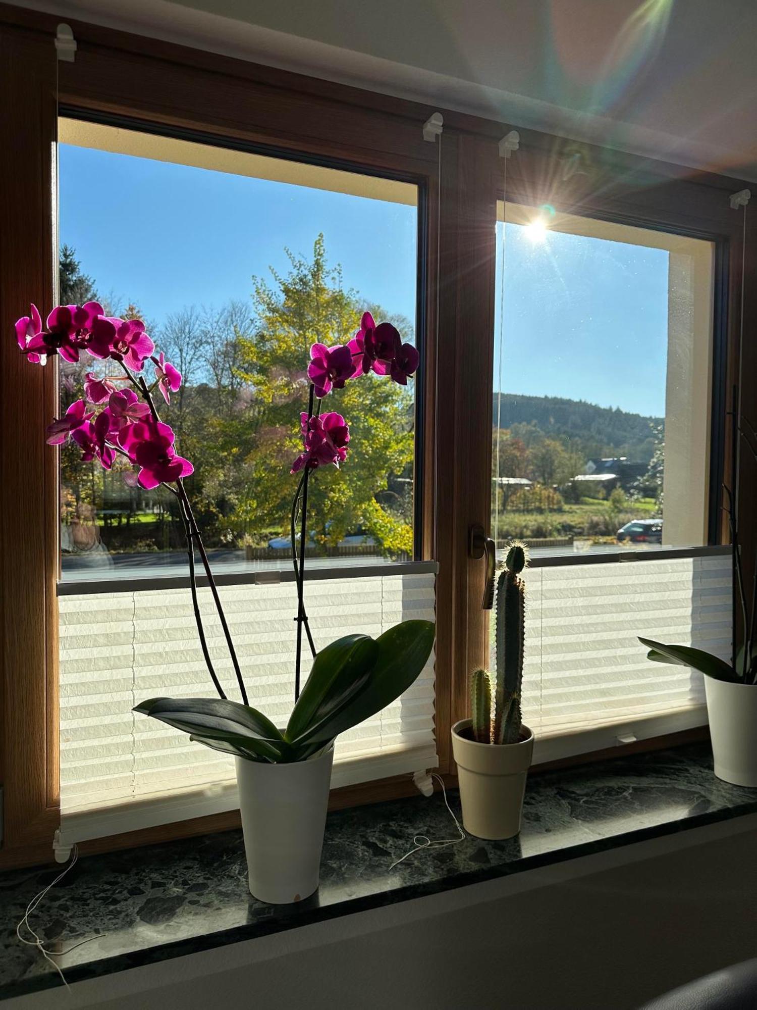 Ferienhaus Ginkgo Biloba Malsbenden Luaran gambar