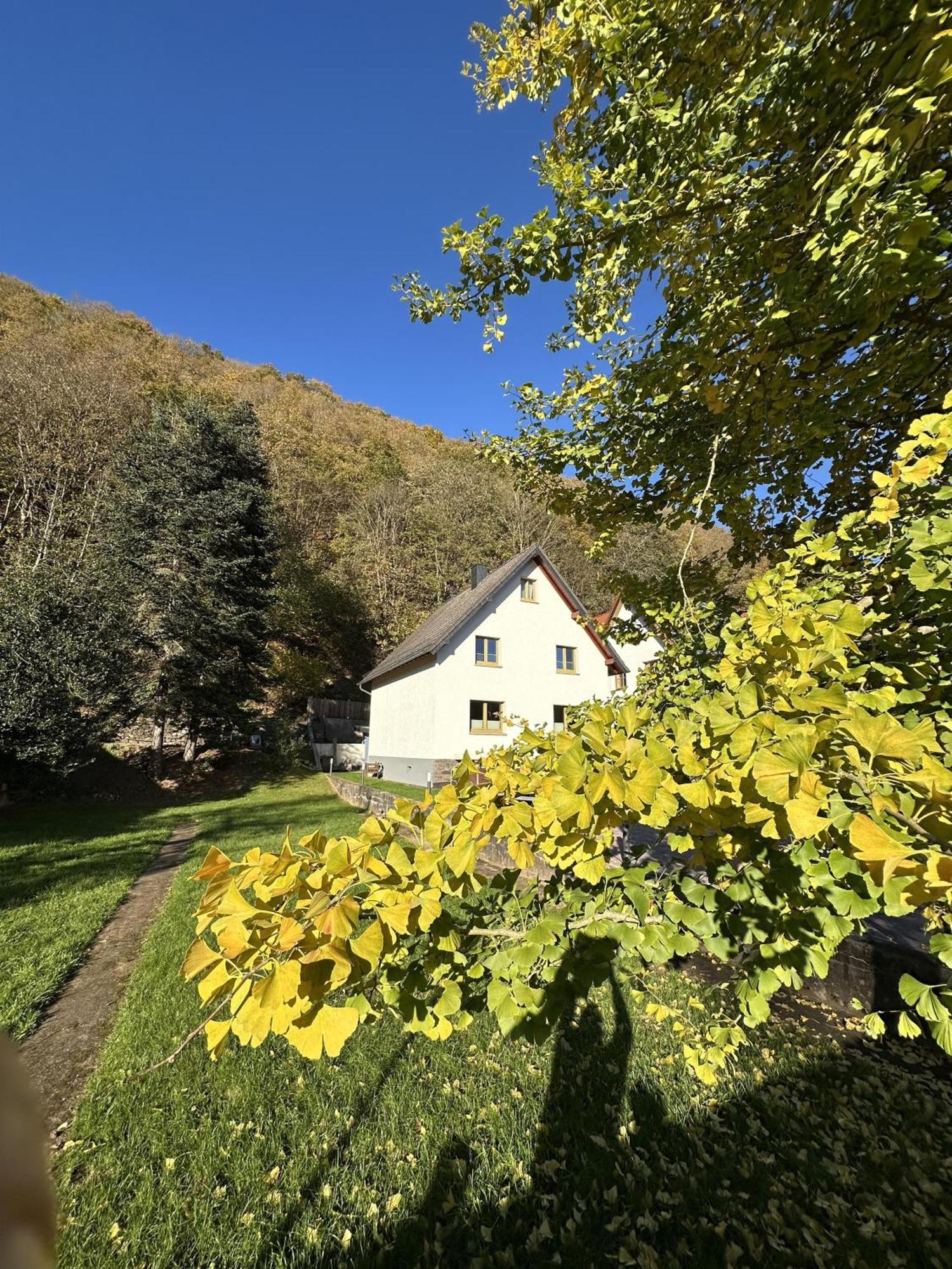 Ferienhaus Ginkgo Biloba Malsbenden Luaran gambar
